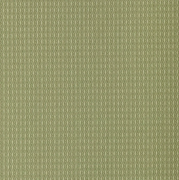 Outdura® ETC Asparagus 54" Upholstery Fabric (2671) 4 Outdura® ETC Asparagus 54" Upholstery Fabric (2671) - Image 2