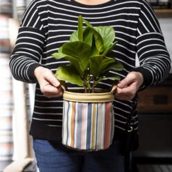 Sunbrella® 57016-0003 Highlight Splendor 54" Upholstery Fabric -Famous Fabric Store Sunbrella 57016 0003 Highlight Splendor 54 Upholstery Fabric 701